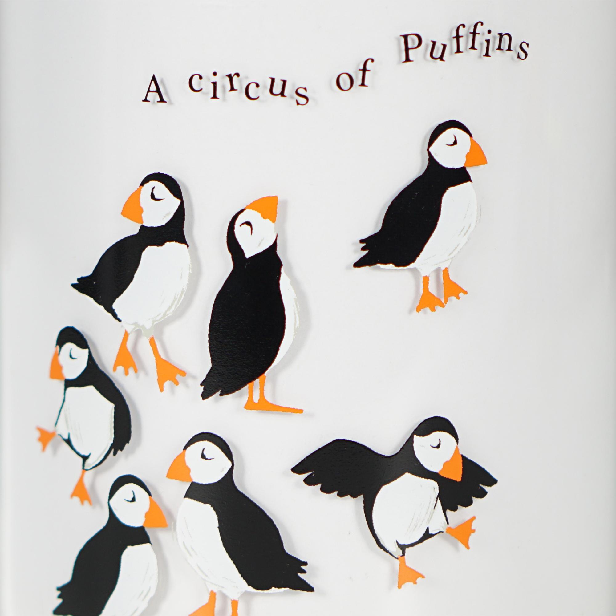 Storage Jar Glass (750ml) - RSPB (Circus of Puffins)